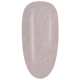 AM31