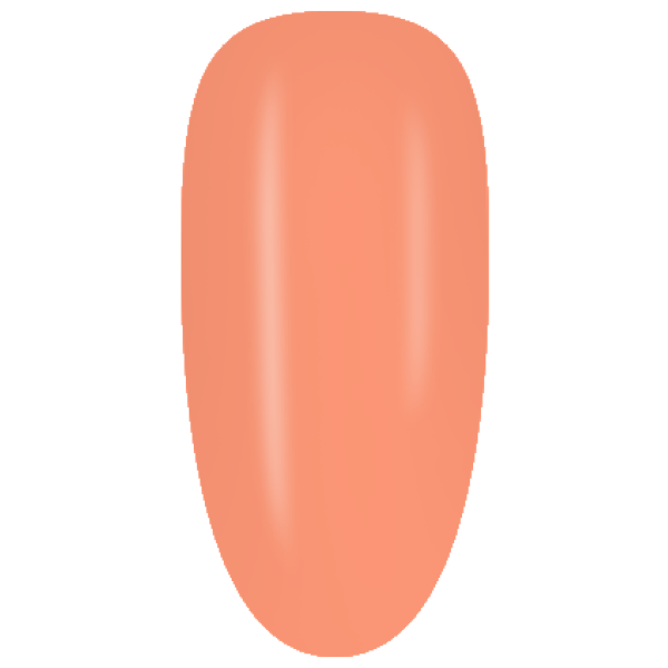 CA953
