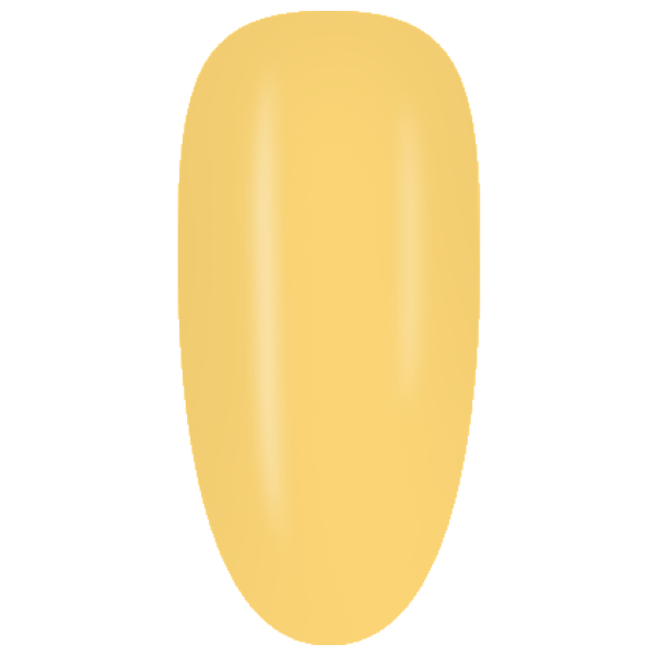 CA954