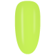 CA955