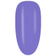CA958