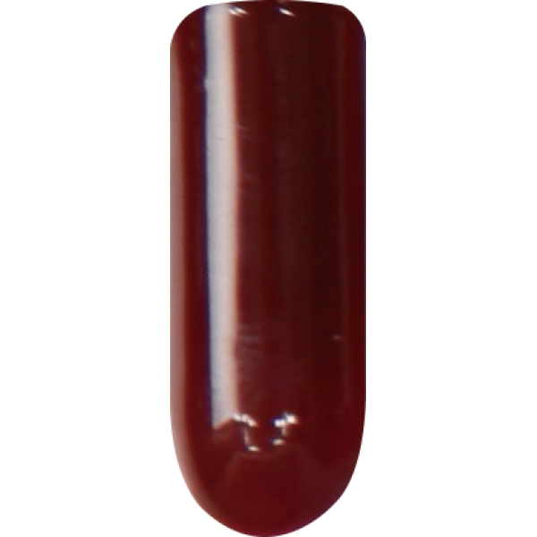 CN24