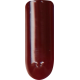 CN24