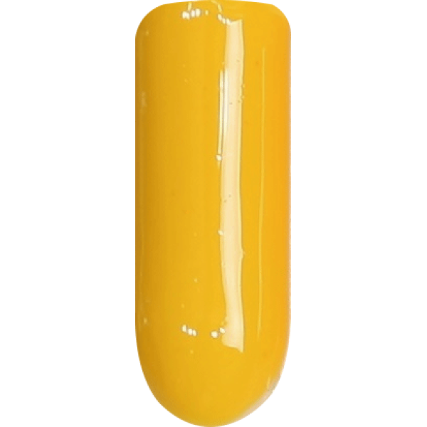 CN41