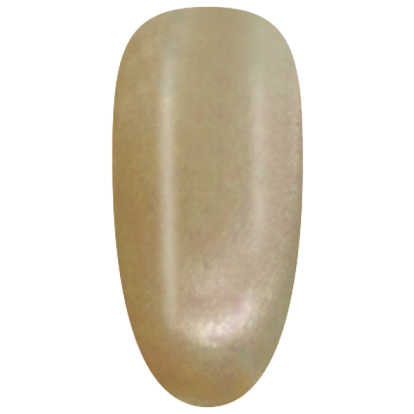NAG33