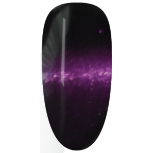 NAG51
