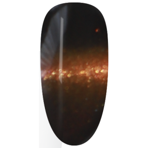 NAG52