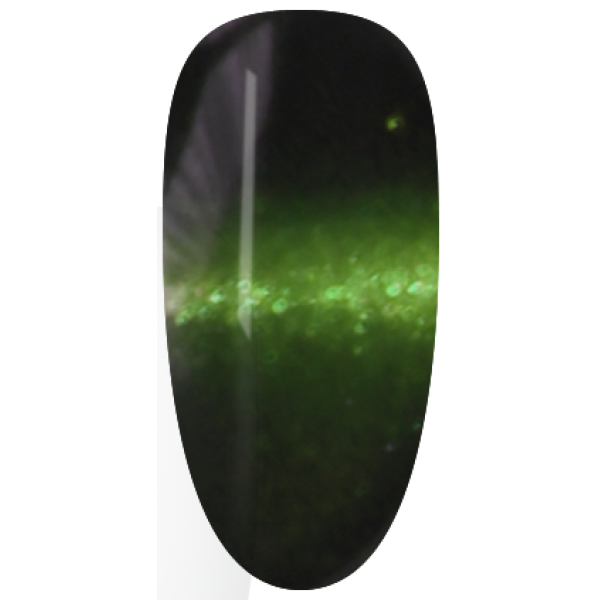 NAG54