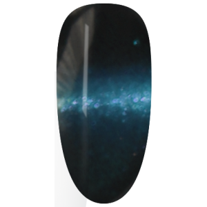 NAG55