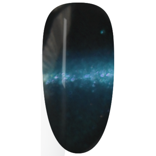 NAG55