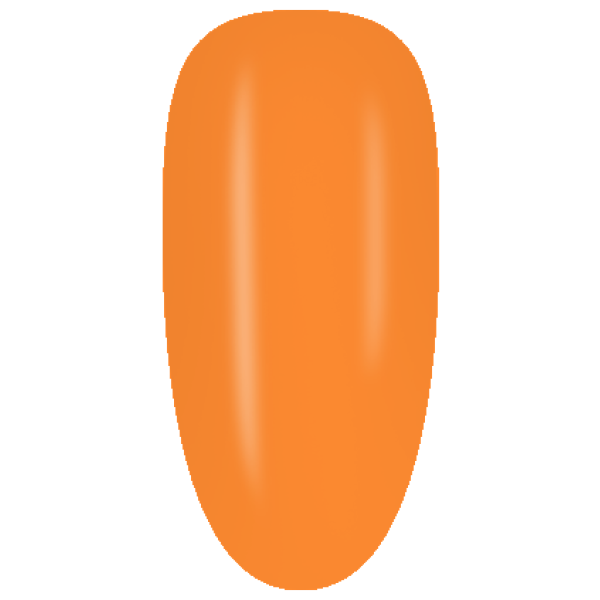 NE04