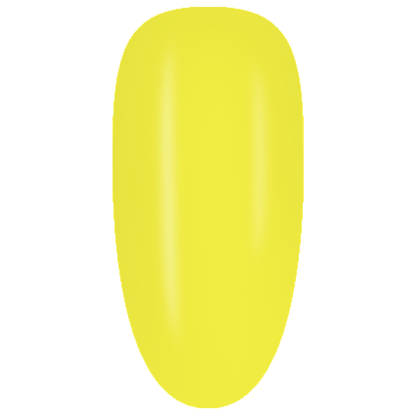 NE05