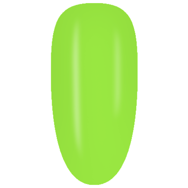 NE06