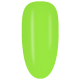 NE06