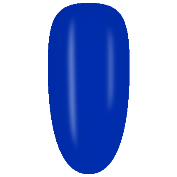 NE08