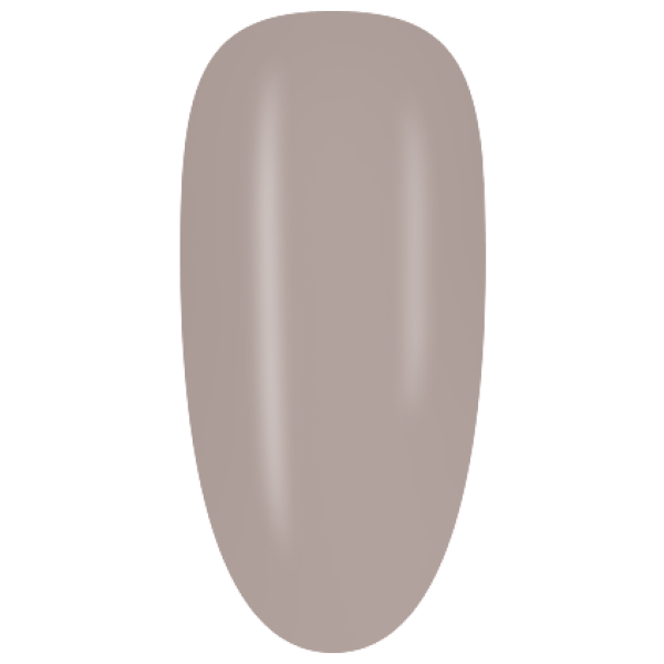NGF24