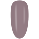 NGF26