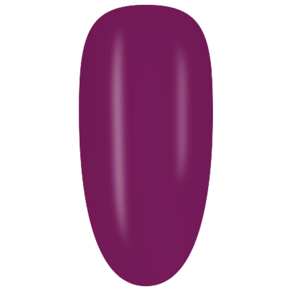 NGF29