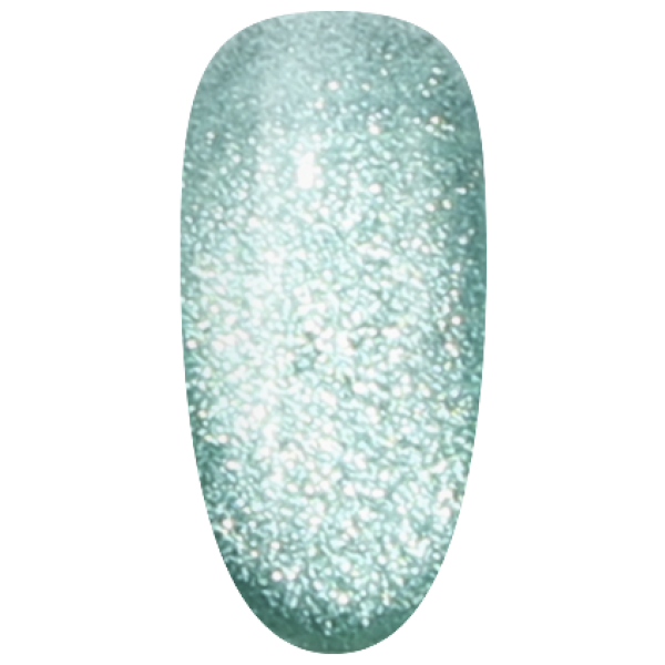 NAG13
