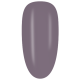 FW263