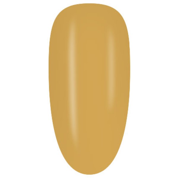 SS294