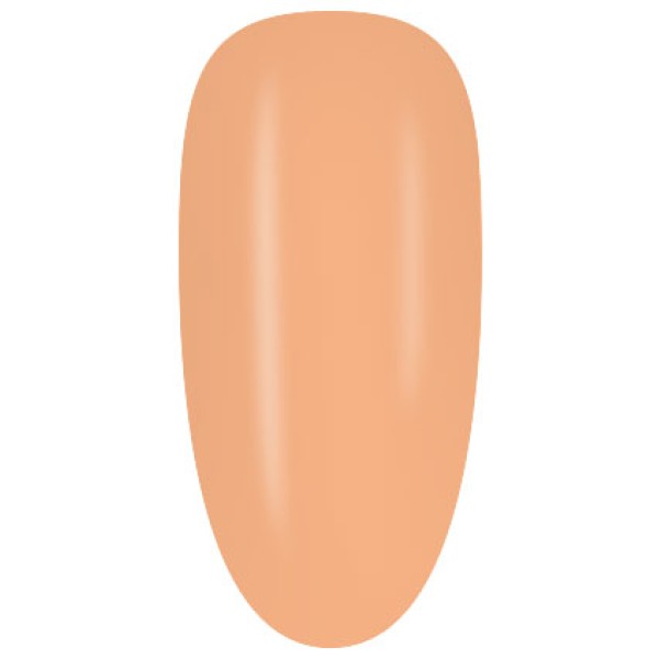 SS305